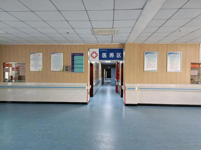 养老行业有哪些项目能做,养老行业的趋势和前景