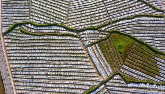 重庆外婆桥加盟电话,重庆外婆桥加盟电话号码