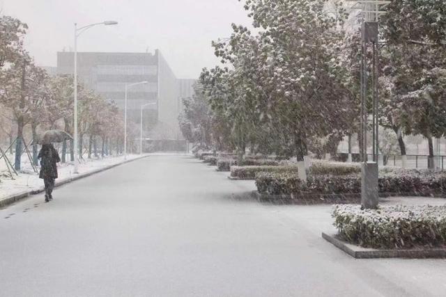 鸭绿江放排是干什么的,鸭绿江放排是什么意思