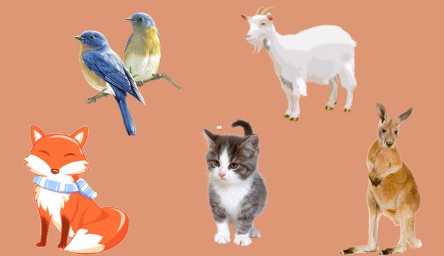 《化蛇》《冷血动物》非麻瓜,冷血动物化蛇变温禽兽非麻瓜