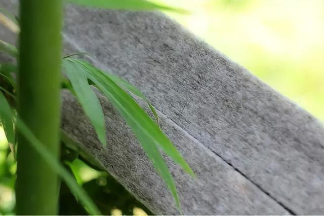 环保材料与健康穿搭