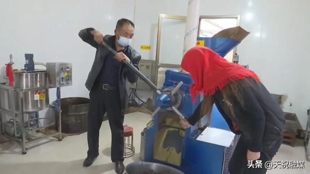 全自动小型榨油机,榨油机什么牌子最好出油高多少钱