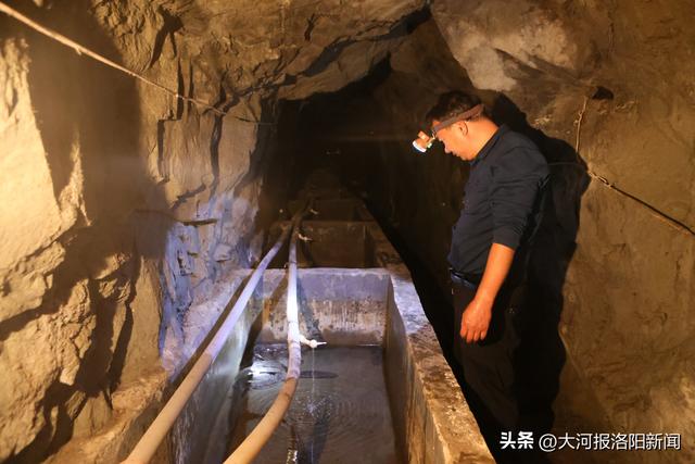 吃奶鱼多少钱一条,吃奶鱼多少钱一条合适