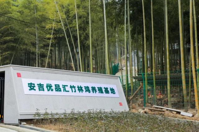 养殖业什么最赚钱农村,养殖业什么最赚钱农村项目