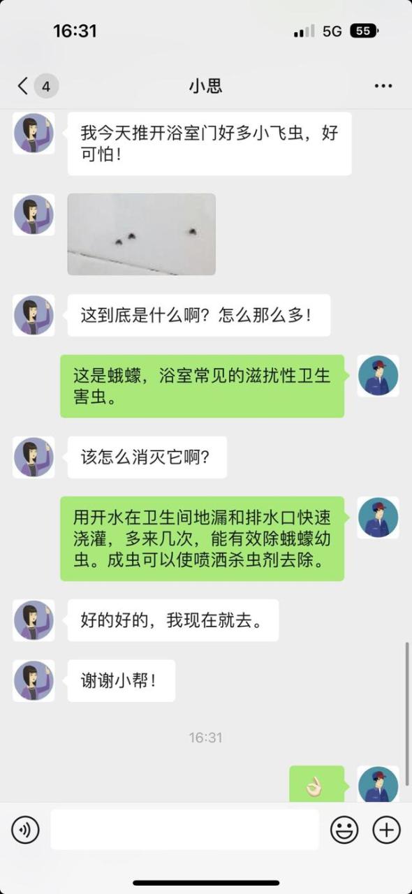 室内小飞虫怎么消灭小窍门,家里出现小飞虫找不到源头