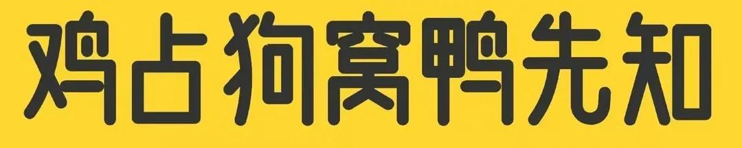 太丢人了，台湾捐土穿过的内衣裤