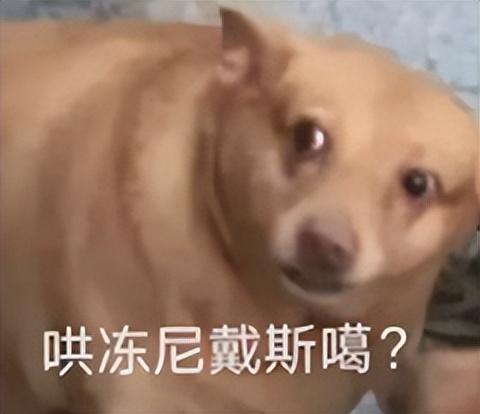 亚马逊kindle,亚马逊kindle官网