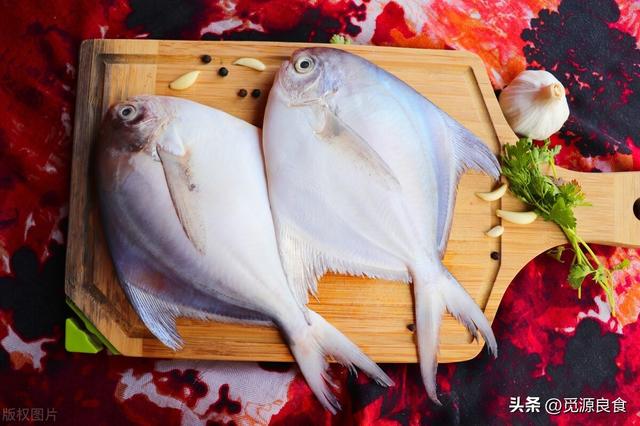 什么鱼好吃刺少营养高,各种鱼图片及名称