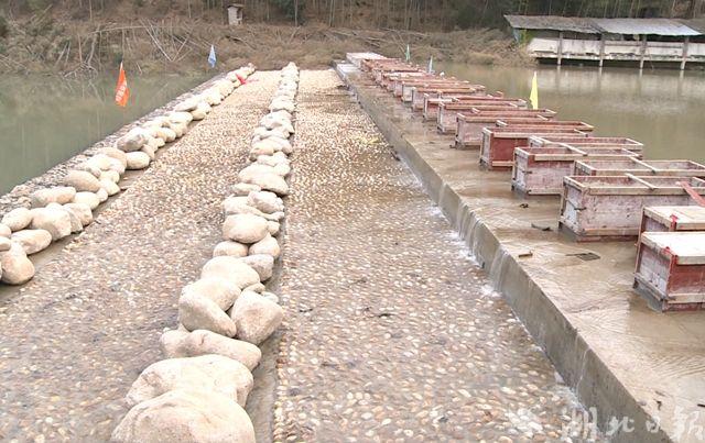 水上种稻子的浮床批发价格,水生蔬菜种植浮床