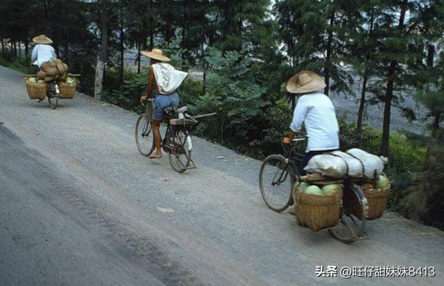 上海凤凰自行车官网旗舰店,上海凤凰牌自行车多少钱一辆
