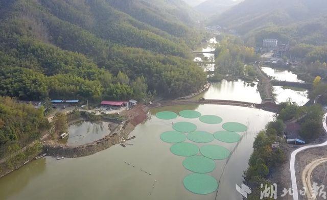 水上种稻子的浮床批发价格,水生蔬菜种植浮床