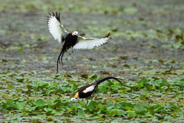 伊田园罐头怎么样,伊田园罐头怎么样好吃吗