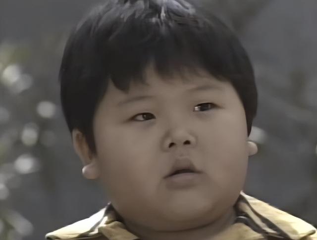 金贝贝幼儿园,阳光宝贝幼儿园