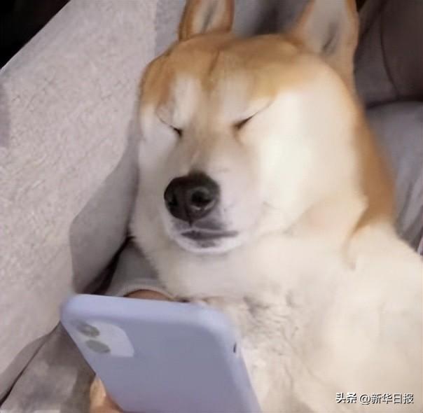 上头和下头是什么意思,结婚上头是什么意思