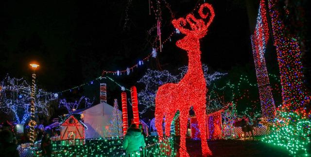 迎新黑板报设计图案大全,迎新黑板报设计图案大全集