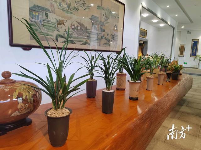 德人牧香常德市地址,湖南常德德人牧香