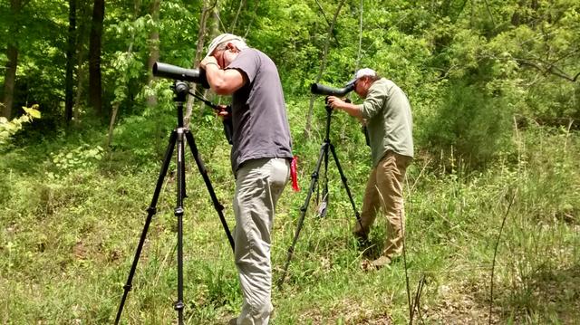 野生动物有哪些图片及名称,野生动物有哪些图片及名称_卡通