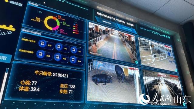 淄博按摩椅专卖店,淄博按摩椅专卖店地址