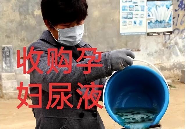 一吨尿可以提取多少尿激酶,尿激酶提炼设备一套得多少钱