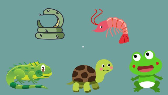 《化蛇》《冷血动物》非麻瓜,冷血动物化蛇变温禽兽非麻瓜