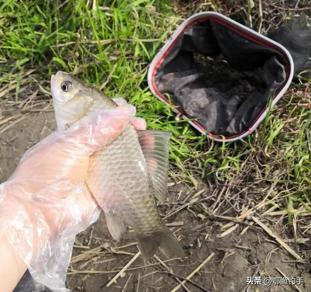 钓鱼竿19调和28调是什么意思,37调28调19调哪个鱼竿好用