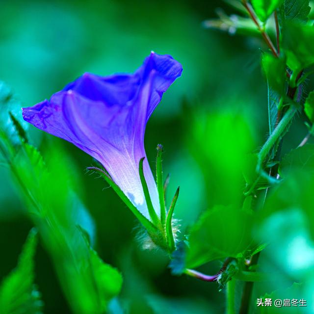 住家护理老人每月多少钱,老人陪护多少钱一个月