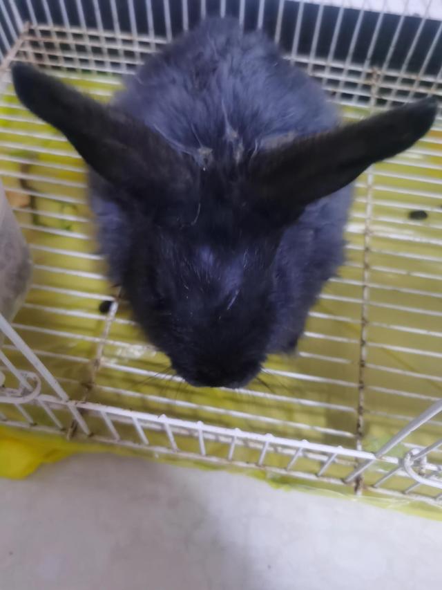 网红直播间如何利用“套路”“合法”套路老百姓？