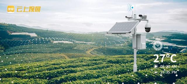 瑞泉岩茶价目表,瑞泉岩茶价目表岩香妃