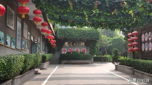 醋葫芦未删减版免费阅读,醋葫芦小说无删减全文阅读