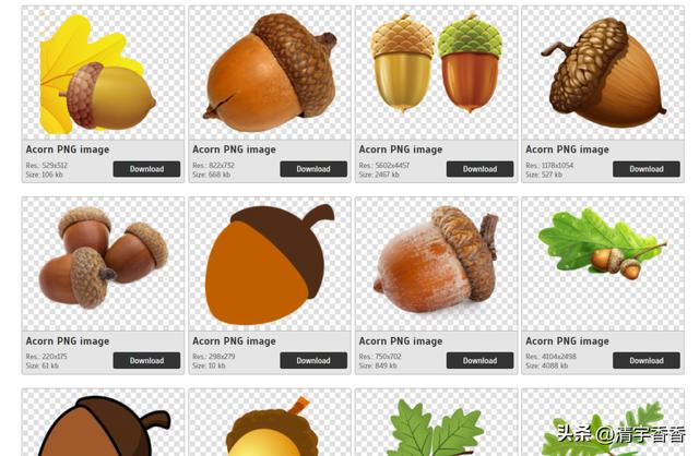 风景视频素材免费下载,风景视频素材免费下载无水印