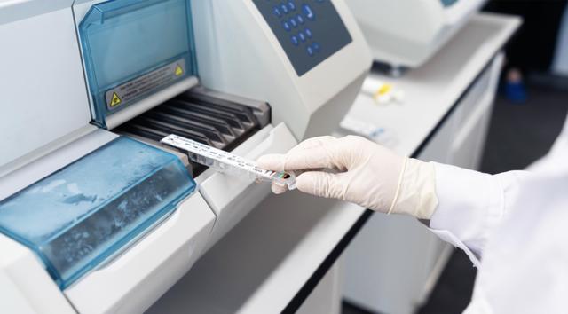 开个狗粮加工厂挣钱吗,小型狗粮加工厂一年赚多少钱