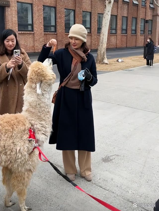 刘芳菲和老百姓零距离，北京街头和遛羊驼的素人亲切交流唠家常