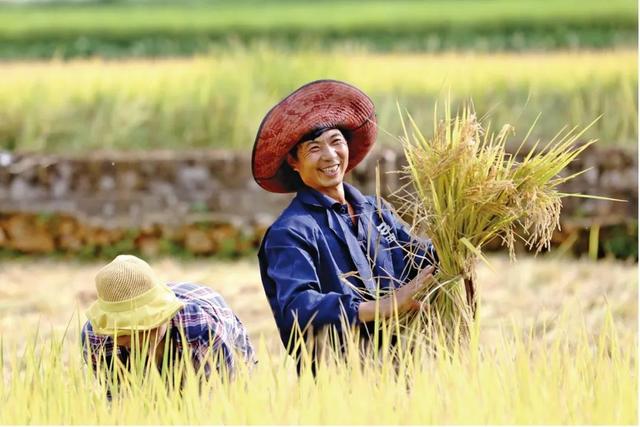 拼多多旗舰店有优势吗,拼多多旗舰店有优势吗知乎