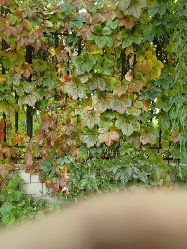 初中语文教师年度考核个人总结2023,小学语文教师年度考核个人总结2023