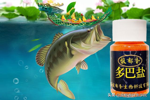 汉鼎渔具店加盟代理,汉鼎渔具官方旗舰店