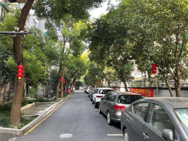 杭州龙凤娱乐地图,杭州龙凤娱乐地图高清