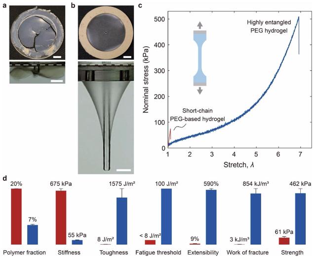 羟乙基纤维素,羟乙基纤维素对皮肤的作用
