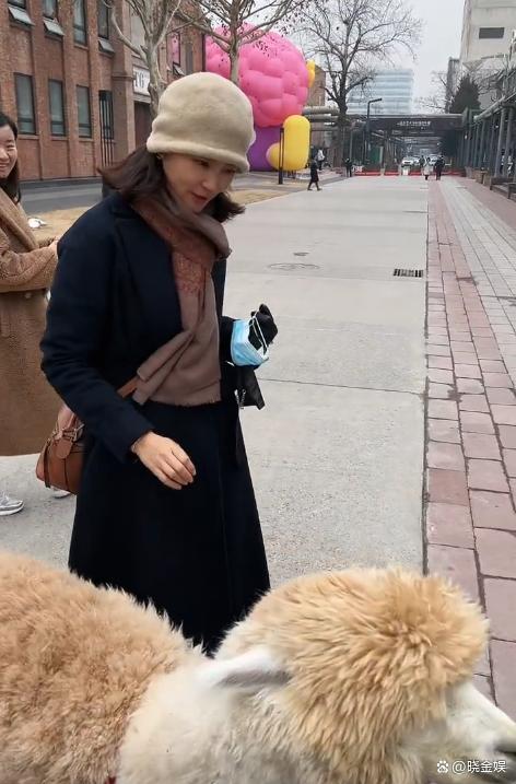 刘芳菲和老百姓零距离，北京街头和遛羊驼的素人亲切交流唠家常