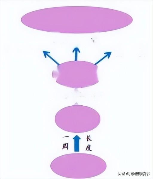 周长怎么计算直径,圆的周长怎么计算直径