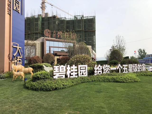 碧桂园集团董事长,碧桂园集团董事长杨惠妍