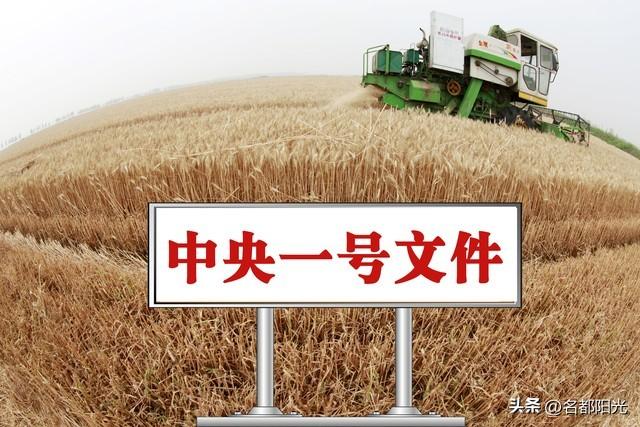 家庭联产承包责任制是哪一年,家庭联产承包责任制是哪一年开始实行的