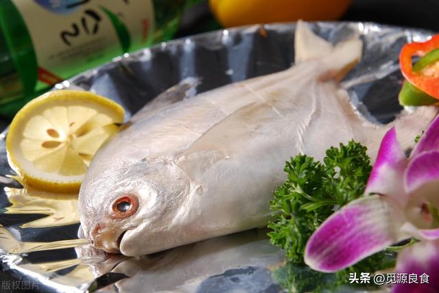 什么鱼好吃刺少营养高,各种鱼图片及名称