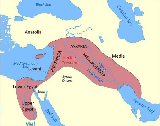 犹太属于什么人种,犹太人属于哪国人