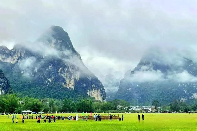 实体商家最怕什么投诉才会退款,比12345还厉害的电话