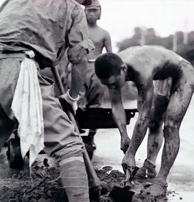 播放亚洲人的样子,亚洲人吗7