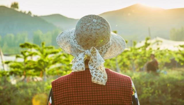 拼多多怎样才算新用户,拼多多怎么样才算新用户