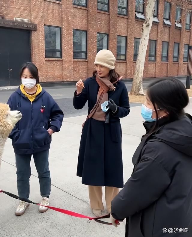 刘芳菲和老百姓零距离，北京街头和遛羊驼的素人亲切交流唠家常