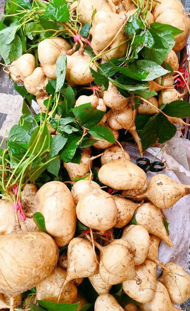 00种水果图片大全,100种水果图片大全名称"