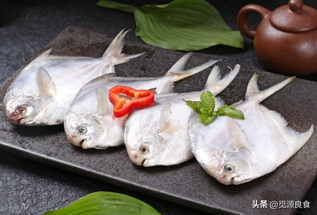 什么鱼好吃刺少营养高,各种鱼图片及名称