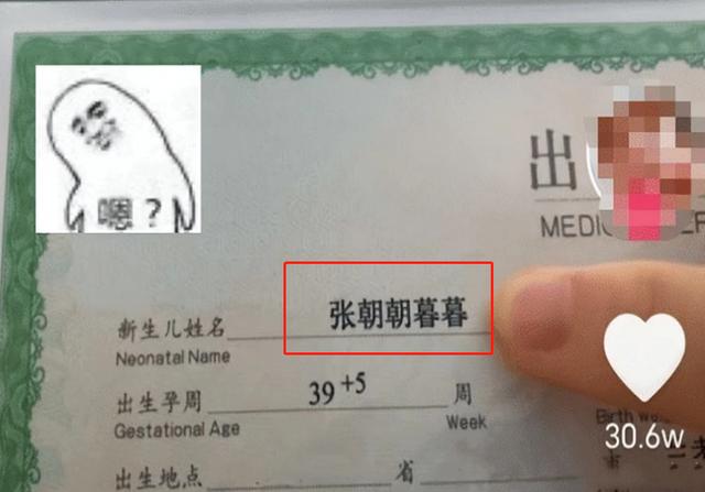 生僻却美到爆的单字,冷门又好看的生僻字